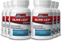 Suppléments sport Extrait de feuille d'olive puissant antioxydant, système immunitaire santé 500mg (6 bouteilles, 360 capsules)