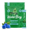 Waterboy Workout Hydratation $ 2,960mg Sans sucre Packets de poudre d'électrolyte $ L-Glutamine + Vitamines $ Pas de sucre, tout naturel, sans gluten $ 15 Mélanges de bâtons de boisson (framboise bleue)