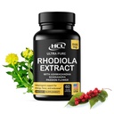 Rhodiola Rosea Supplément High Potency Extract 500mg - 3% Rosavins 1% Salidrosides avec Ashwagandha Shisandra Passion Flower Herb Capsules en poudre - Natural Way to Relieve Stress - Pills for Energy