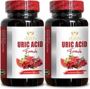 Acide URIC - Soutenir la concentration d'acide urique saine, Tart Cherry Extract Capsules pour hommes et femmes, Uric Acid Support Formula, non-OGM - 2 bouteilles 120 capsules