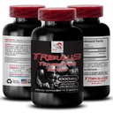 Formule de support de l'endurance - TRIBULUS TERRESTRIS EXTRACT - Recharge de puissance, mélange de soutien de puissance, boost physique, énergie de la centrale, formule de soutien du corps, force et puissance, force active 1Bot 90Tab