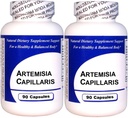 Artemisia Capillaris (90 gélules)-Extrait concentré de plantes - Supplément alimentaire - 2 boîtes