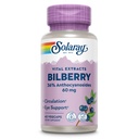 SOLARAY Bilberry Berry Extract 60 mg | Leistungsstarke Antioxidantien | Gesunde Vision & Zirkulation Unterstützung | 60 VegCaps