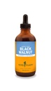 Kräuter Pharm Black Walnut Liquid Extract für Reinigung und Entgiftung - 4 Unze