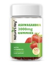 Nature's Key Ashwagandha Gummies, hohe Potenz Ashwagandha Wurzelextrakt mit Vitamin D2, für Männer & Frauen, Stress, ruhige Stimmung & Kognition, Erdbeeren Geschmack (120 Count (Pack von 1)