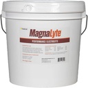 MagnaLyte Loose Salz und Elektrolyte für Pferde von Eagle Equine | Mineral Meer Salz, Trace Minerals, Elektrolyte | 20 Pfund Bucket