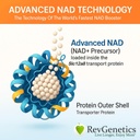 REVGENETICS Supplément avancé NAD+, 60 capsules - Supplément alimentaire pour le vieillissement en santé et la longévité