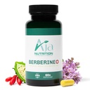 Berberine Plus – Triple Action Metabolic Support Supplement mit Berberine HCl 500mg, Bitter Melon & Banaba Blatt – 1250mg Kräuter-Aktive – Energie & Verdauungsunterstützung – 60 Vegan Kapseln