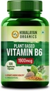 Pflanzenbasiertes Vitamin B6 | unterstützt Immunität, Gehirngesundheit (120 Kapseln)