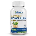 Palmara Gesundheit L-Lysine + Monolaurin 600mg 1:1 Ratio, 1 Packung, 100 Kapseln
