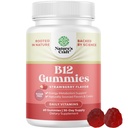 Vitamine B12 Gummies pour adultes - Sans sucre Vitamine B12 1000 mcg Gums à croquer pour l'énergie et l'humeur Soutien Immune & Nerves Santé - Kosher Non-OGM & Supplément sans gluten pour les femmes et les hommes - 60 Nombre
