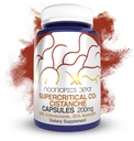 Nootropics Depot Cistanche Superkritische CO2 Extrakt Kapseln | 20% Echinacoside + 20% Verbascoside (Acetoside) | 60 Count