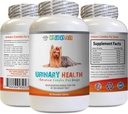 Dog Urinary Incontinence - Dog Urinary Health Formula - Hilft mit Inkontinenz und Blasenproblemen - Immune Boost - Corn Silk Kapseln für Hunde - 1 Flasche (90 Bäume)