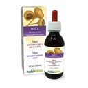 Naturalma Maca ou Ginseng péruvien (Lepidium meyenii ou L. peruvianum) Teinture sans alcool racine - 4 fl oz Extrait liquide dans les gouttes - Supplément à base de plantes - Vegan