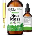 Bouteilles liquides de la mousse de mer sauvage et biologique - Soutien immunitaire - Teinture de la mousse de mer et du bladderwrack d'Irlande - Supplément multiminéral de Crispus Chondrus - végétalien, sans sucre et sans alcool - 2 fl oz