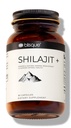 Blisque – Pure Himalayan Organic Shilajit Resin Extrakt Kapseln | Authentic und natürlich | Golden Grade A | Enthält Fulvic Säure und Spuren Mineralien | 90 Kapseln