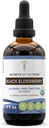 Secrets of the Tribe Black Elderberry Alcohol-Free Tincture (Glycerite) 680 mg USDA Organic Black Elderberry (Sambucus Nigra) Dried Berry (4 Fl Oz) Immune Support Supplement