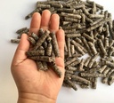 Pellets de betteraves intelligentes pour l'alimentation - Chevaux, poneys, chèvres, bovins - Bon pour la santé du cerveau et l'adoucissement naturel (12 onces)