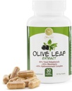 Olive Leaf Extract - 500mg - Supplement Standardisiert auf 25% Oleuropein - 20% Hydroxytyrosol - 40% Polyphenole - Non-GMO + Gluten Free + Dairy Free + Soy Free + Vegan (30 Kapseln)