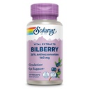 SOLARAY Bilberry Extract 160 mg, Augengesundheit und Zirkulation Unterstützung, 36% Anthocyanosides Plus Blueberry, Vegan, 30 VegCaps