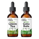 Teinture de thé vert sauvage et biologique 2 fl oz & Gotu Kola Teinture 2 fl oz
