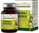 Banyan Botanicals Yogaraj Guggulu – Supplément de soutien organique à l'articulation – Mélange ayurvédique pour soutenir les systèmes squelettiques et neuromusculaires* – 90 comprimés – non OGM, source durable, végétalien