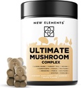 Mushroom Superstars - Supplément de champignons Gummies de lion de la main de lion de la Turquie Tail.