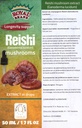 Reishi Pilz-Ergänzung/Unser Reishi Pilz-Extrakt fördert Langlebigkeit/Reishi Pilz-Tinktur - 50ml / 1.7 Fl Oz