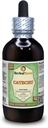 Catechu (Acacia Catechu) Glycerit, Getrockneter Kräuteralkoholfreier Flüssigextrakt (Markenname: HerbalTerra, Proudly Made in USA) 4 fl.oz (120 ml)
