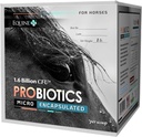 Mikroverkapselte Probiotika für Pferde - Premium Equine Digestive Health Supplement