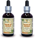 Baume de Galaad (Populus candicans) Teinture, Extrait liquide de Buds séchés organiques (Marque: HerbalTerra, Fièrement fabriqué aux États-Unis) 2x2 fl.oz (2x60 ml)