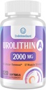 Urolithine A Supplément 2000mg