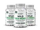 Organics Ocean Wild Sea Moss Capsules - 100% Bio Irish Sea Moss with Organic Chlorella, Bladderwrack and Vitamine D for Energy, Lung Health and Thyroïde Support for Women and Men - 3 bouteilles