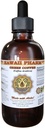HawaiiPharm Green Coffee Liquid Extract, Green Coffee (Coffea Arabica) Bean Powder Tinture Supplement 2 oz