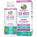 MaryRuth Organics Sea Moss mit Spirulina und Chlorella Liposomal | Chlorophyll | Dandelion Root | Superfood | Ultra Absorption | Vegan | Non-GMO | Glutenfrei | 7,6 fl oz | 15 Servietten