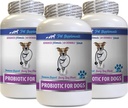 Soulagement de la diarrhée chez le chien - PROBIOTIQUES pour les chiens - Gout sain - Stop Diarrhée gazeuse et mauvaise haleine - Boost digestif - Probiotiques et enzymes digestives chez le chien - 3 bouteilles (180 gâteries)