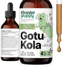 Des gouttes de Gotu Kola pour les chiens - Gotu Kola Extract & Centella Asiatica pour le soutien de la santé cérébrale - Supplément de cerveau nutritionnel pour les chiens de toutes races et tailles - 4 oz