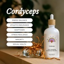 Rainbo - Cordyceps Teinture de champignons - Sans alcool - Supplément de champignons à double extrait - Support immunitaire, énergie, supplément de cordyceps liquide, végétalien, non OGM, 3,4 fl oz