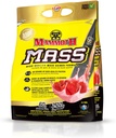 MAMMOTH Mass: Weight Gainer, High Calorie Protein Powder Workout Smoothie Shake, Meal Replacement, Low Sugar, Whey Isolate Concentrate, Casein Protein Blend, High Protein (Strawberry, 5lb)