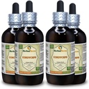 Cordyceps (Cordyceps Sinensis) Tincture, Organic Dried Mushroom Powder Liquid Extract (Markenname: HerbalTerra, Proudly Made in USA) 4x4 fl.oz (4x120 ml)