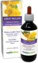 Naturalma Great Mullein oder Common Mullein (Verbascum thapsus) Blume und Blatt Alcohol-Free Tincture - 6.76 fl oz Flüssiger Extrakt in Tropfen - Kräuterergänzung - Vegan