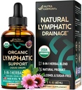 USDA Organic Lymphatic Drainage Supplement - Echinacea | Elderberry | Dandelion | Rosehip | Cleavers | Calendula | Burdock - Made in USA - Lymphsystem Drops - Immununterstützung, Cleanse & Detox, 2 fl oz
