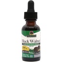 Nature's Answer Black Walnut Green Hull Extract 1oz - Alkoholfrei, Glutenfrei, Kosher - Black Walnut, Wormwood Black Walnut Clove Parasite Cleanse - Detox & Liver Support, Verdauungsreiniger