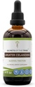 Secrets de la Tribe Greater Celandine Tecture Alcool Extract, Greater Celandine (Chelidonium majus) 4 OZ