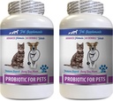 Probiotiques pour chiens et enzymes digestives Poudre - PROBIOTIQUES pour animaux de compagnie - Chiens Chats - Mauvais gaz et breath Treats - Advanced Immune Boost - Probiotiques pour chiens pour mauvais souffle - 2 bouteilles (120 Treats)