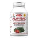 ANDREW LESSMAN ALA + NAC Alpha Acide lipoïque avec N-acétyl-Cysteine 360 Capsules - Ultra-haute puissance, anti-oxydant support pour le système nerveux, coeur, cerveau, foie, reins, poumons, énergie. Aucun additif
