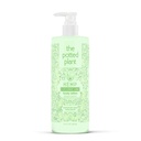 Lime de noix de coco Lotion corporelle Huile de chanvre Colagène végétal sans THC Vitamine E 16,9 oz