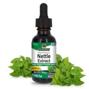 Nature's Answer Nettle Leaf 1oz Extrant de la prostate Suppot de la prostate Concentrated Dark Green Nettle Leaf Herbal Supplement (en anglais seulement) Non-OGM, Kosher, sans gluten et sans alcool