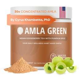 Supplément en poudre d'amla Superfood avec Spice de citrouille, 20x Amla ultra concentrée, faite avec cannelle, gingembre, muscade, girofle, Allspice, cardamome, fraises indiennes, épices de citrouille, 90 portions