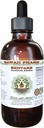 Extrait liquide sans alcool Shiitake, shiitake biologique (Lentinula Edodes) Champignon séché Glycérite supplément à base de plantes naturelles, Hawaii Pharm, États-Unis 2 fl.oz